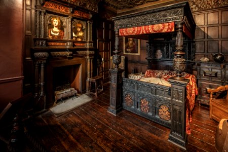 Fireplace, Wood, Interior Design, Flooring photo