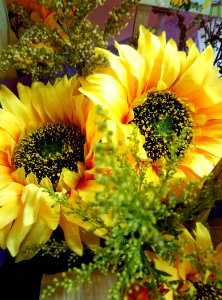 Flower, Yellow, Sunflower, Floristry photo
