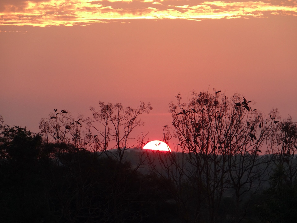 Sunlight outdoor view