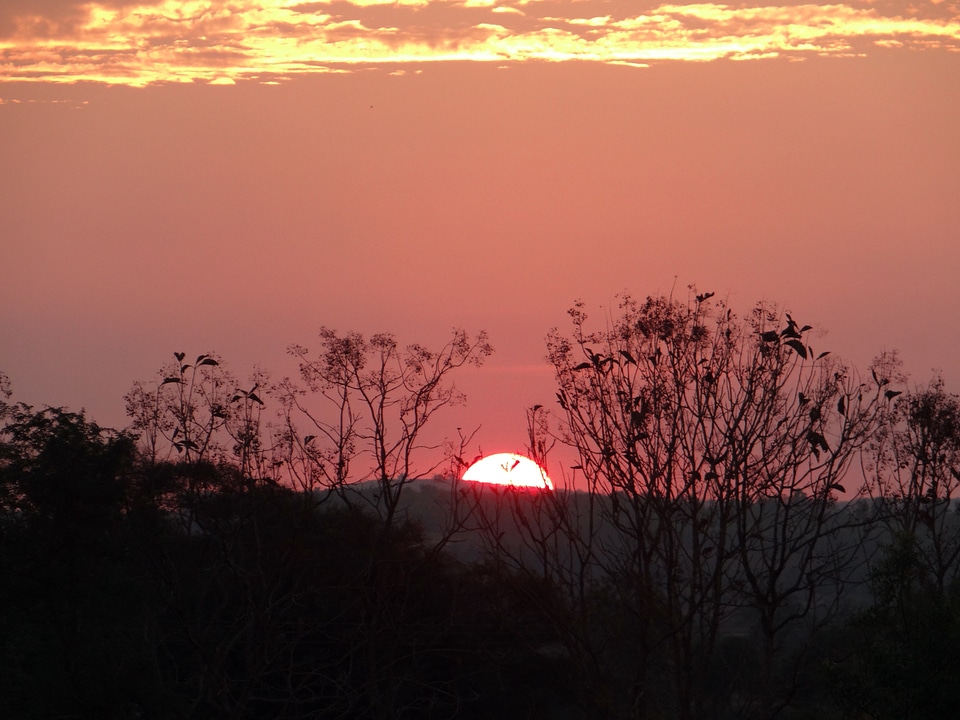 Sunlight outdoor view photo