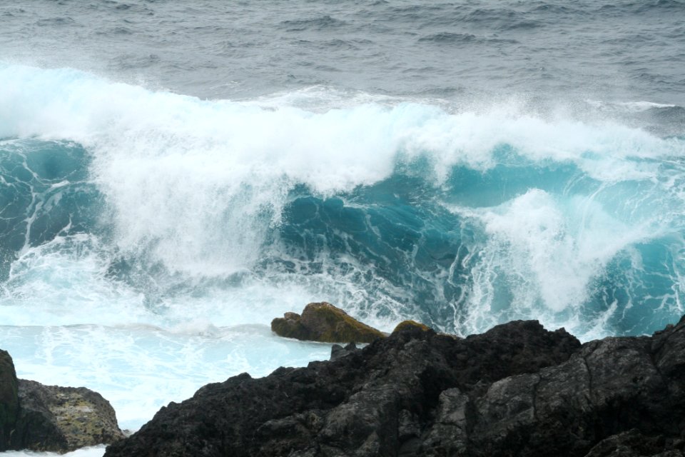 Wave, Sea, Wind Wave, Ocean