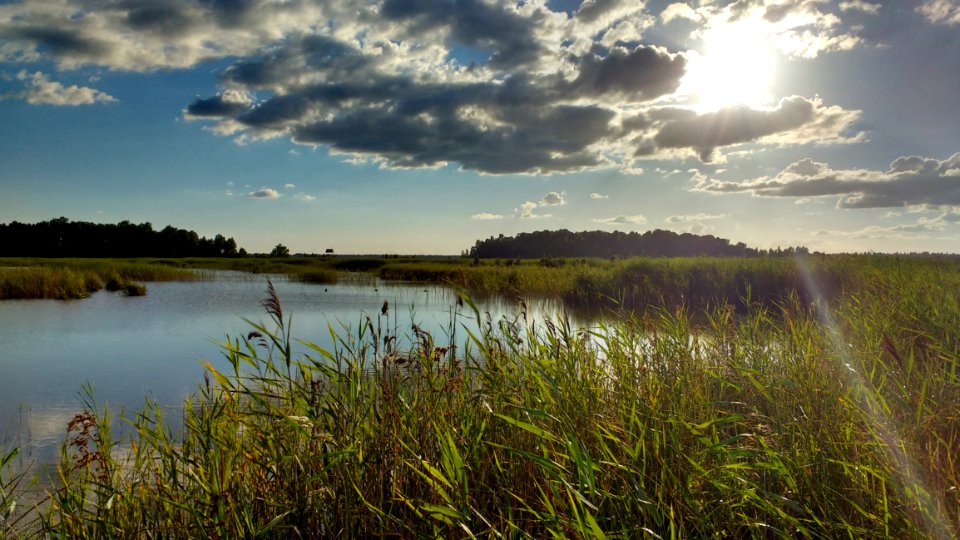 Sky, Wetland, Water, Reflection photo