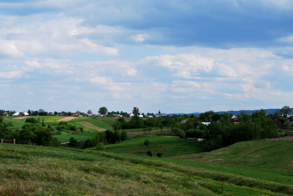 Sky, Grassland, Field, Cloud photo