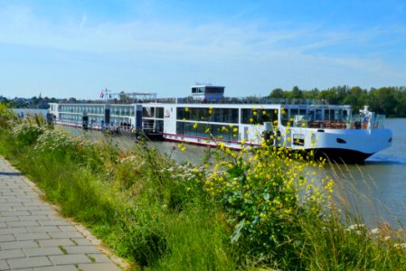 Waterway, Water Transportation, River, Motor Ship