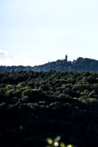 Sky, Highland, Hill, Tree photo