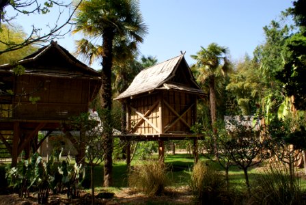 Hut, Cottage, Tree, Outdoor Structure