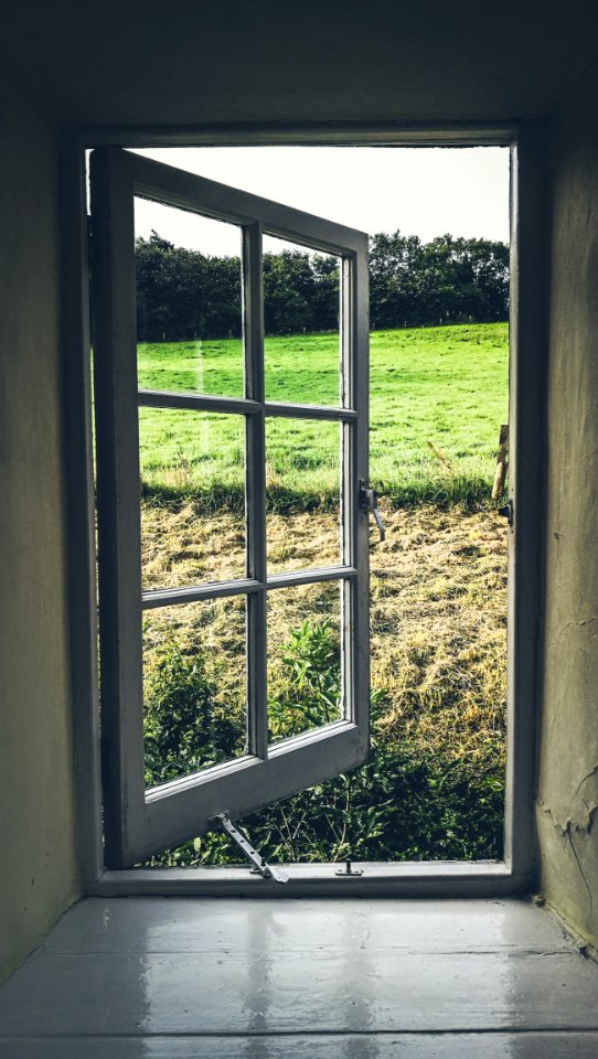 Window, Home, House, Tree