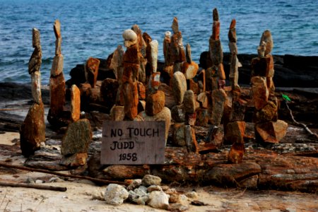 Rock, Wood, Coast photo