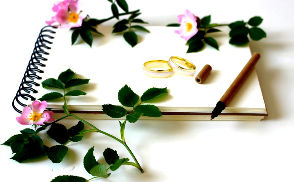 Flower, Petal, Flowerpot, Artificial Flower