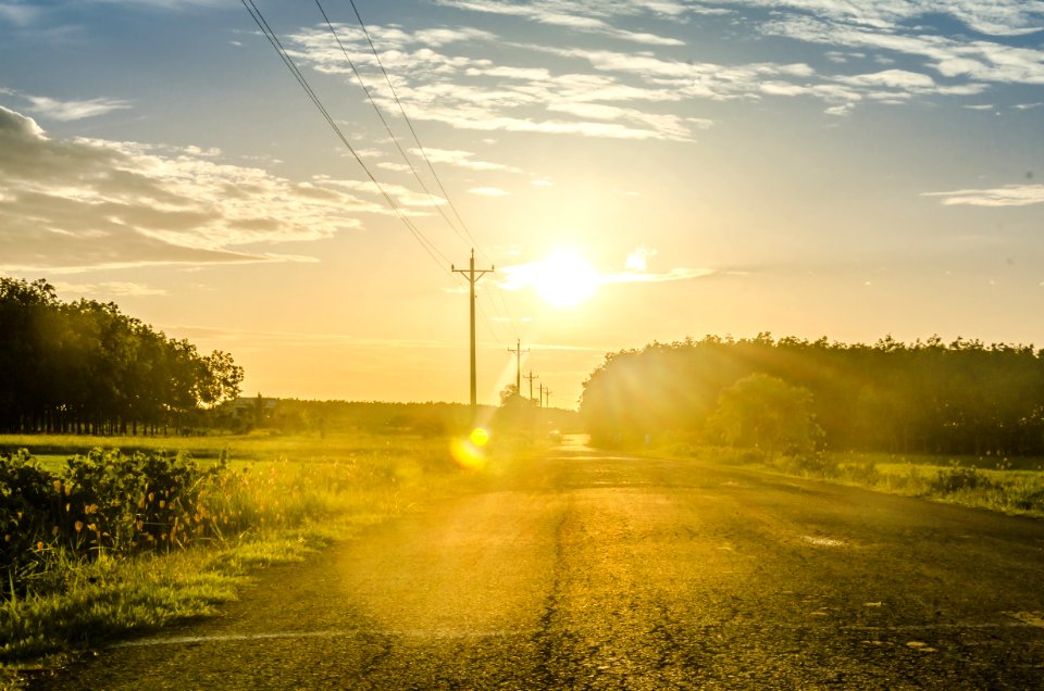Sky, Road, Field, Yellow