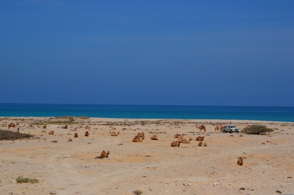 Sea, Sky, Coastal And Oceanic Landforms, Shore