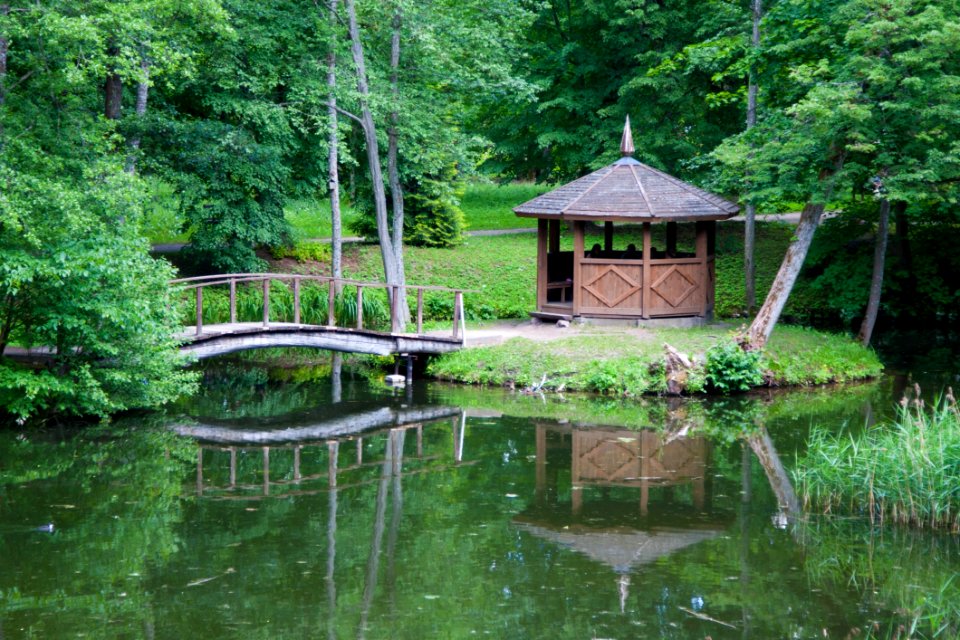 Reflection, Nature Reserve, Water, Vegetation
