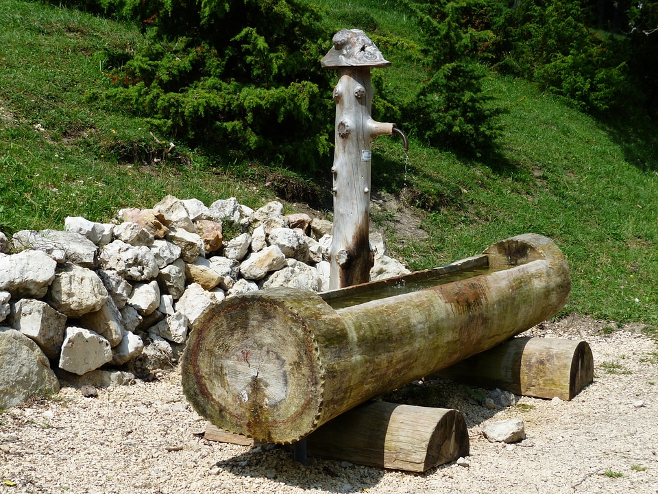 Water potions thirst