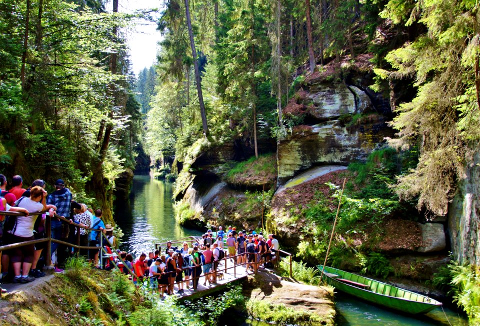 Nature, Water, Nature Reserve, Stream