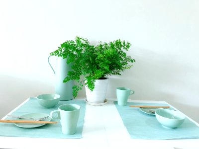 Flowerpot, Cup, Tableware, Porcelain photo