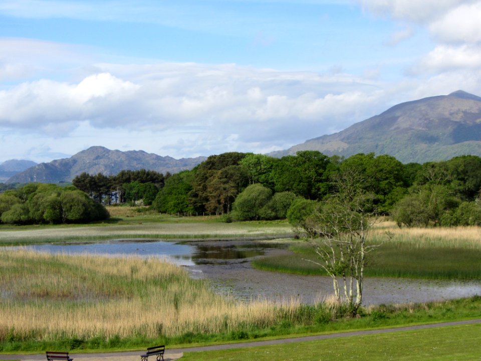 Grassland, Loch, Highland, Nature Reserve
