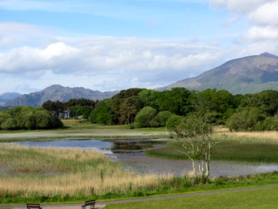 Grassland, Loch, Highland, Nature Reserve