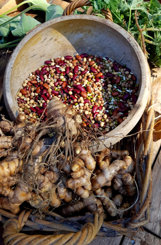 Local Food, Vegetable, Produce, Food