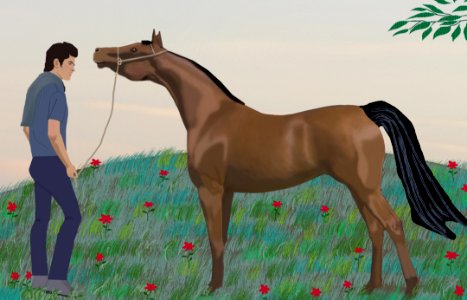 Horse, Bridle, Halter, Stallion