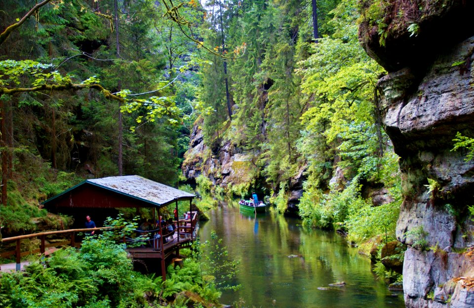 Nature, Water, Vegetation, Nature Reserve