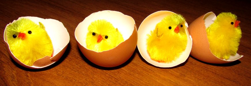 Yellow, Beak, Egg, Fruit