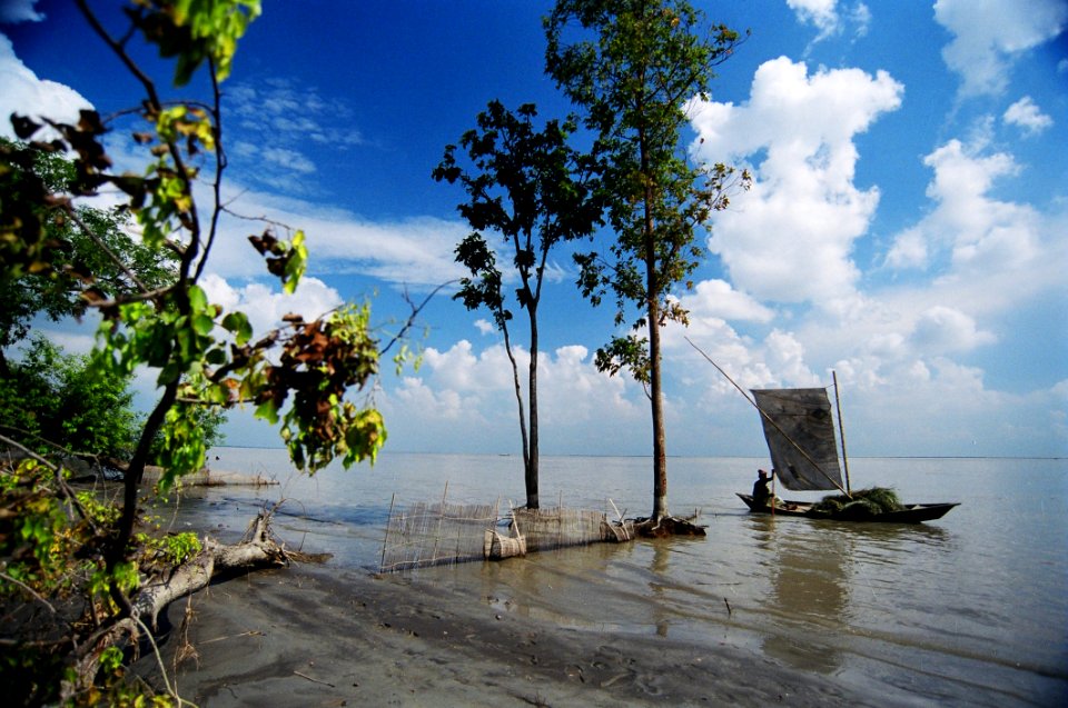 Sky, Water, Tree, Sea