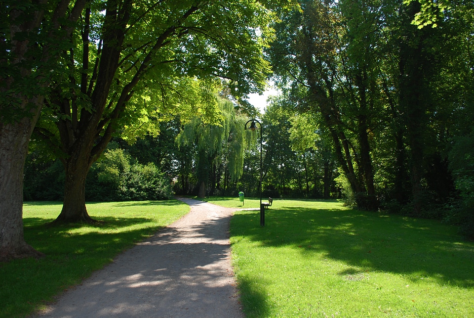 Peaceful shade outdoor