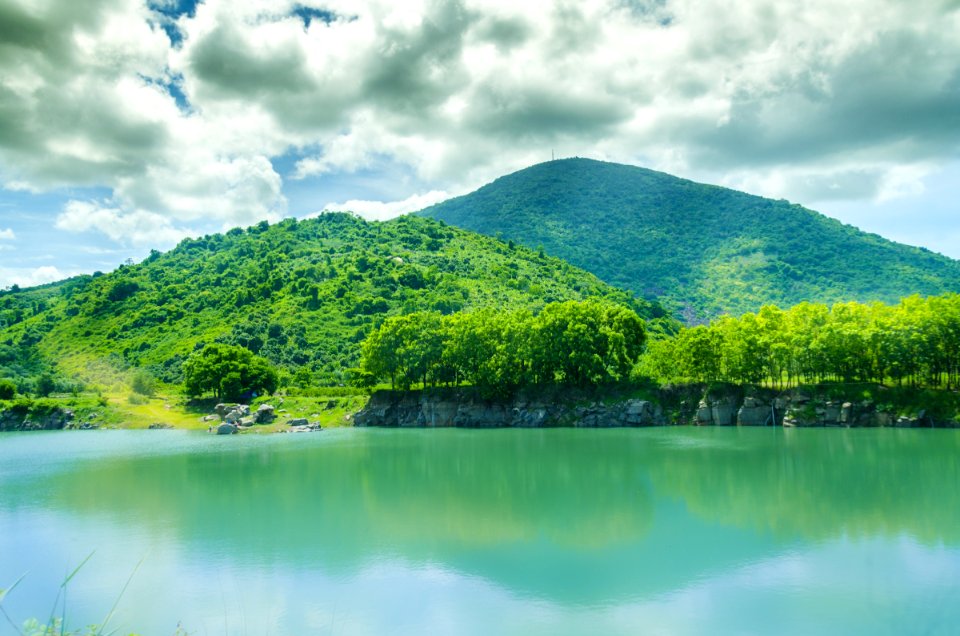 Nature, Green, Vegetation, Water