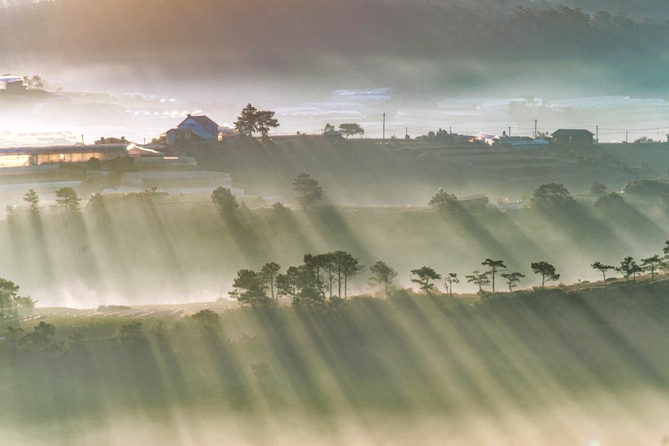 Mist, Sky, Fog, Morning