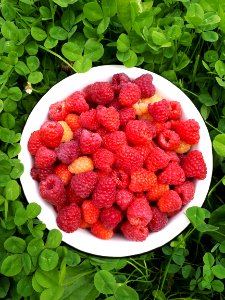 Natural Foods, Strawberry, Strawberries, Fruit photo