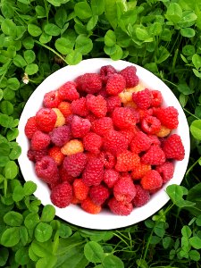 Natural Foods, Strawberry, Strawberries, Fruit