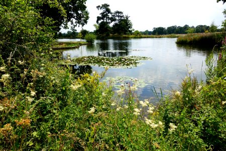 Water, Body Of Water, Nature Reserve, Vegetation photo