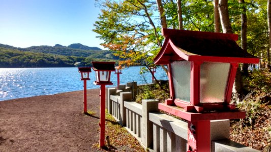 Leisure, Cottage, Tourism, Tree
