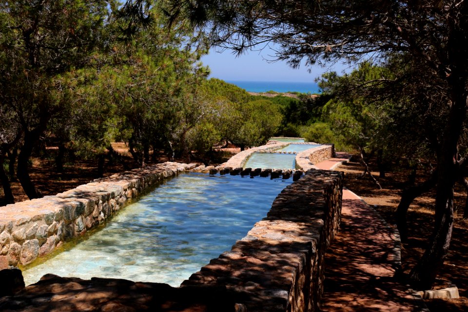 Property, Nature Reserve, Resort, Tree