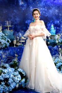 Gown, Wedding Dress, Dress, Flower photo