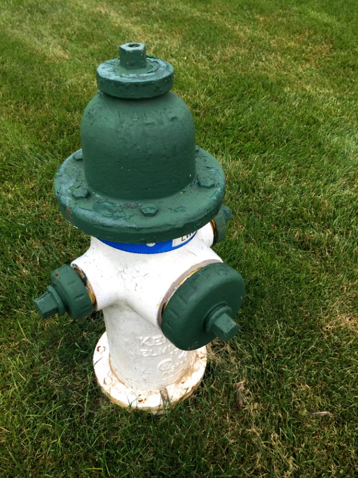 Grass, Fire Hydrant, Lawn, Garden