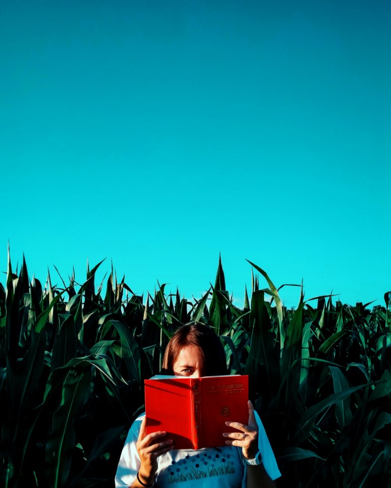 Blue, Green, Sky, Grass