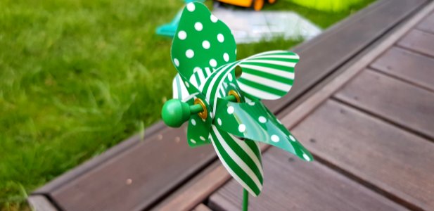Green, Leaf, Insect, Grass