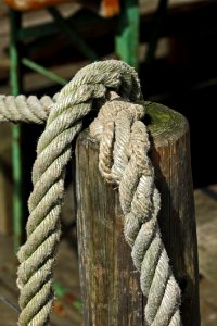 Rope, Wood, Grass, Tree