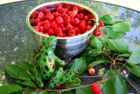 Natural Foods, Fruit, Berry, Plant photo