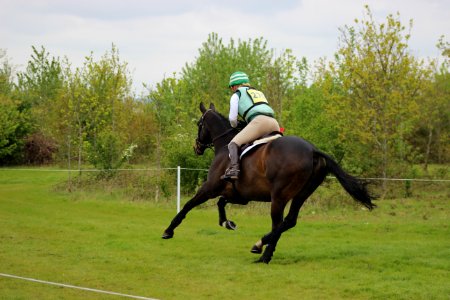 Eventing, Equestrianism, Horse, English Riding photo