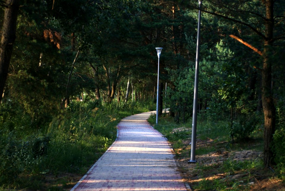 Path, Nature, Walkway, Nature Reserve