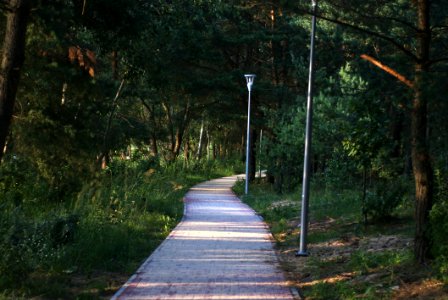 Path, Nature, Walkway, Nature Reserve photo