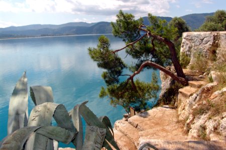 Tree, Nature Reserve, Rock, Water photo