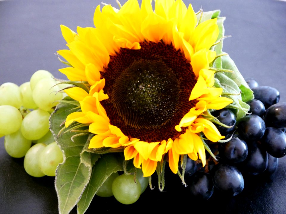Sunflower, Flower, Yellow, Sunflower Seed