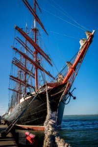 Sailing Ship, Tall Ship, Barque, Ship