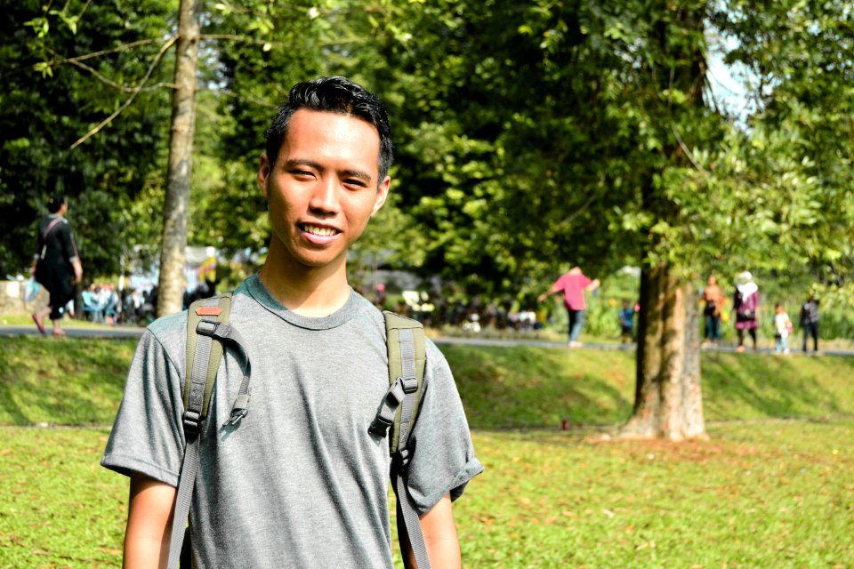 Green, Tree, Vertebrate, Woody Plant