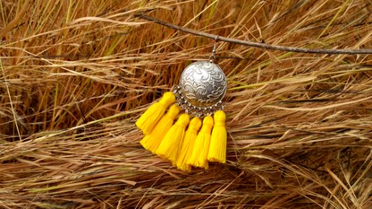 Yellow, Grass Family, Straw, Grass