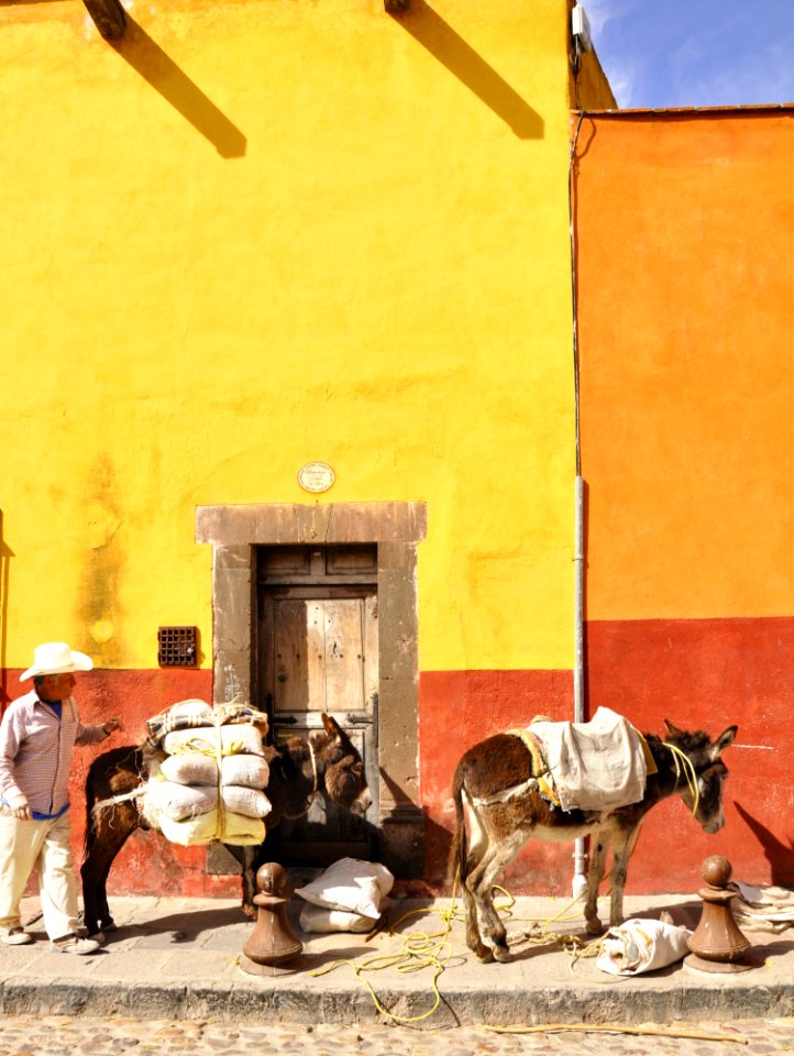 Yellow, Wall, Art, Painting