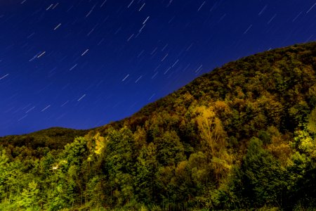 Sky, Nature, Vegetation, Ecosystem